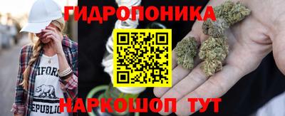 стаф Краснодар