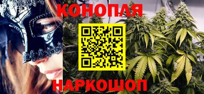 гидра Краснознаменск