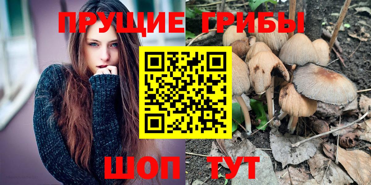 Галлюциногенные грибы мицелий  Псилоцибиновые грибы Psilocybe  Арсеньев  Вход с VPN 