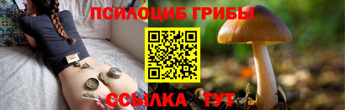 Галлюциногенные грибы Magic Shrooms Арсеньев